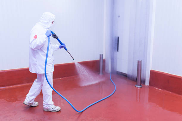 Reliable Enetai, WA Pressure Washing Services Solutions